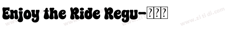 Enjoy the Ride Regu字体转换